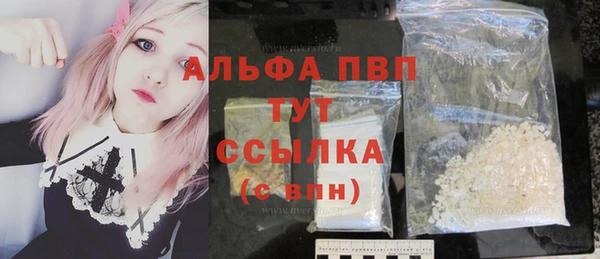шишки Армянск