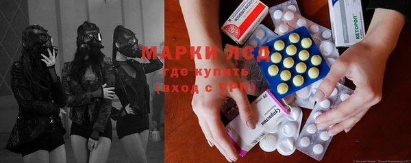 шишки Армянск