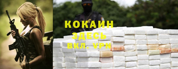 шишки Армянск