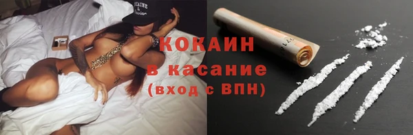 шишки Армянск