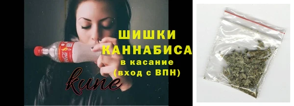 шишки Армянск