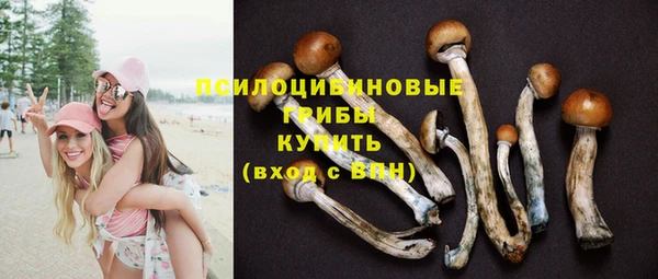 дживик Аркадак