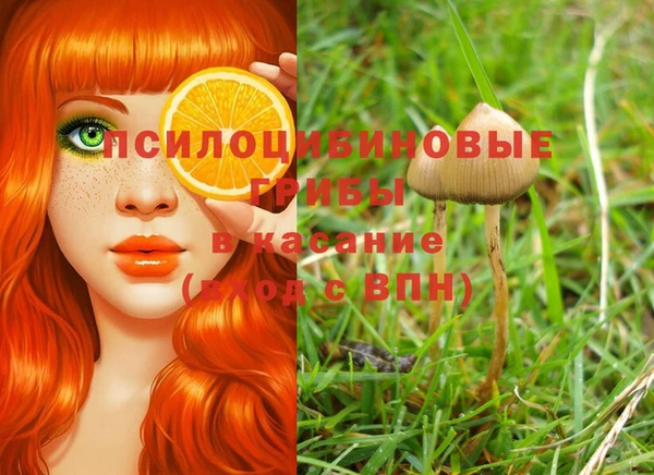шишки Армянск
