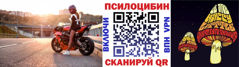 купить   Старый Крым  Галлюциногенные грибы Cubensis 
